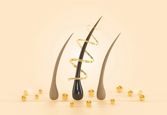 Understanding hair growth in men and women - A guide for professional waxing