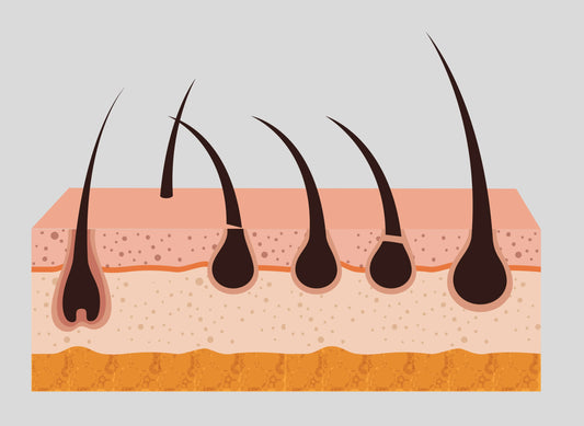 Hormones and hair growth: how hormonal changes affect your hair